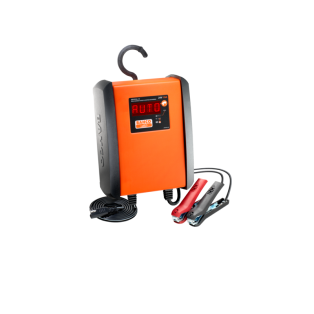 Cargador Batería Eléc 24V-10A