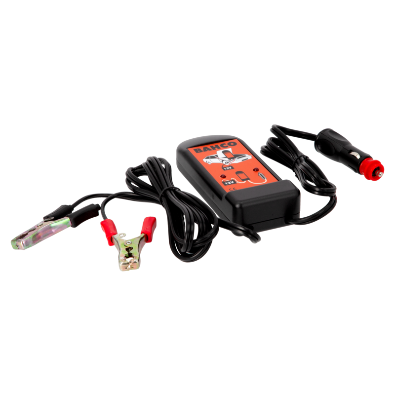 Protector De Memorias 12V