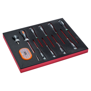 Foam Destornillad Y Puntas Tx