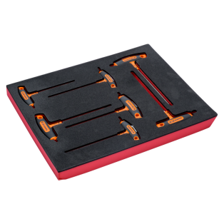 Foam Destorn. Torx Mango T