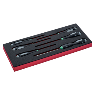 Foam Destornilladores Torx