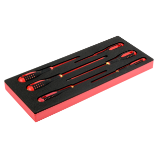 Foam Destor Aislados Sl Ph