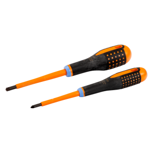 Set Dos Destornilladores Ergo