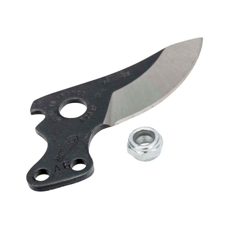 Hoja Nuevo Modelo P6-20