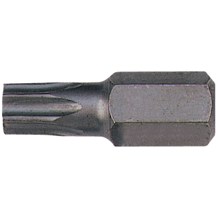 Punta Torx 60 de 10 mm