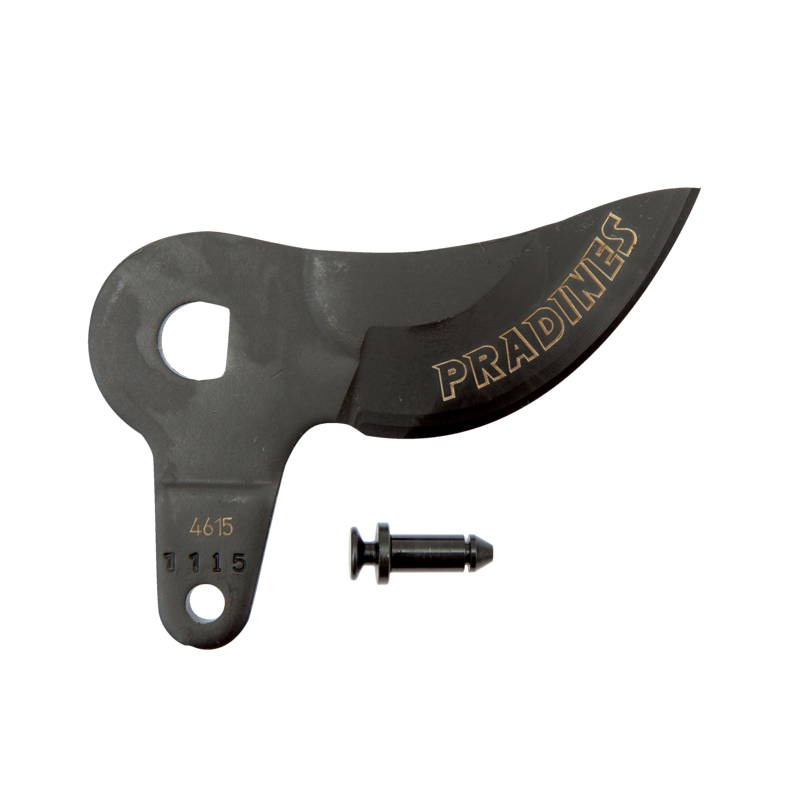 Kit de hojas para las tijeras de poda eléctricas BCL21