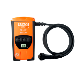 Batería de litio compacta