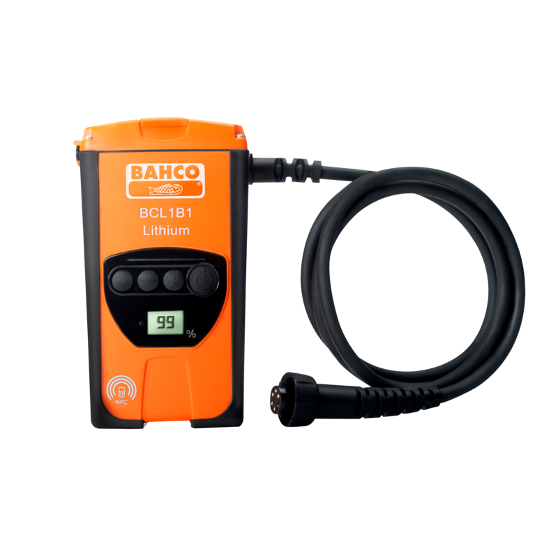 Batería de litio compacta