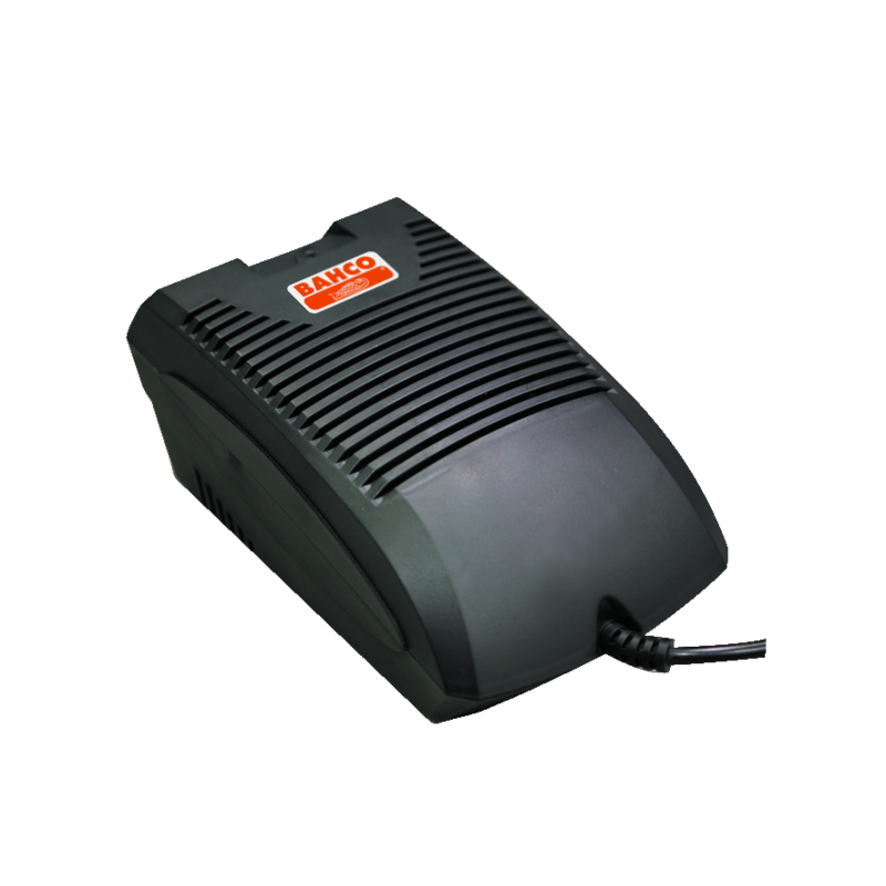 Cargador de 6 A para batería BCL1B1