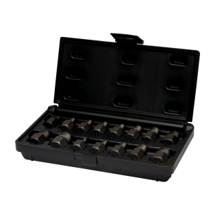 Juego de extractores de puntas y espárragos