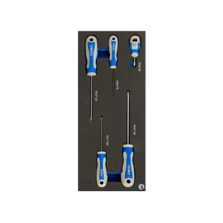 Destornilladores Phillips en foam 1/3 (5 piezas)