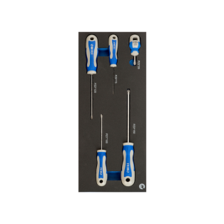 Destornilladores Pozidriv en foam 1/3 (5 piezas)