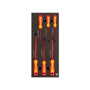 Destornilladores aislados ranurados y Phillips en foam 1/3 (6 piezas)