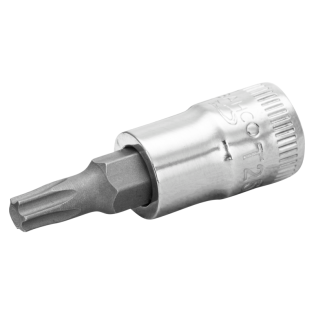 Vaso Con Punta 1/4" Torx T15