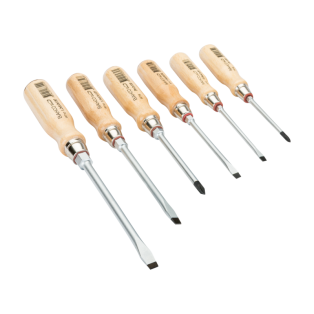 Juego 6 Destornilladores